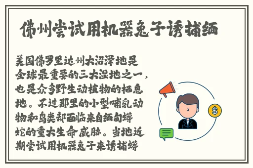 暴躁老阿姨csgo